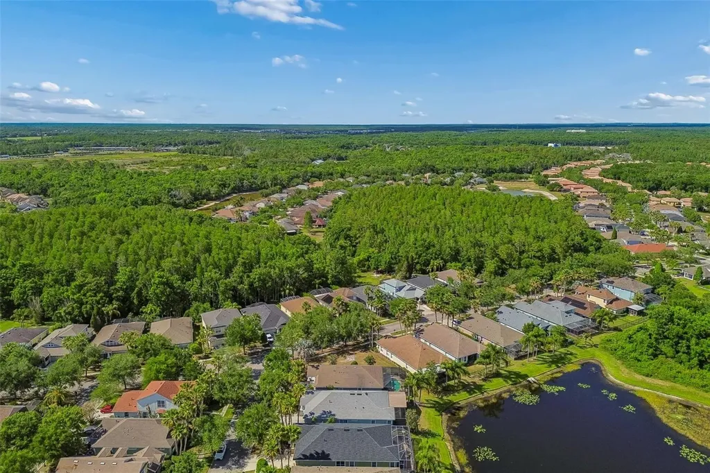 20133 Heron Crossing Drive Tampa FL 33647