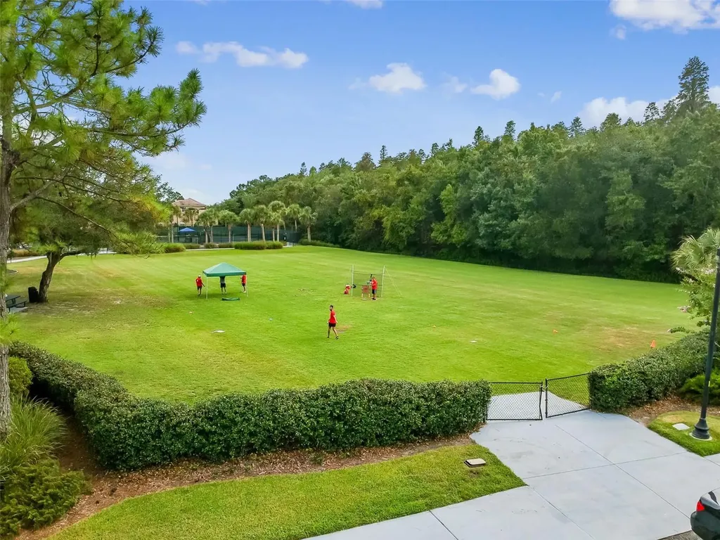 20133 Heron Crossing Drive Tampa FL 33647