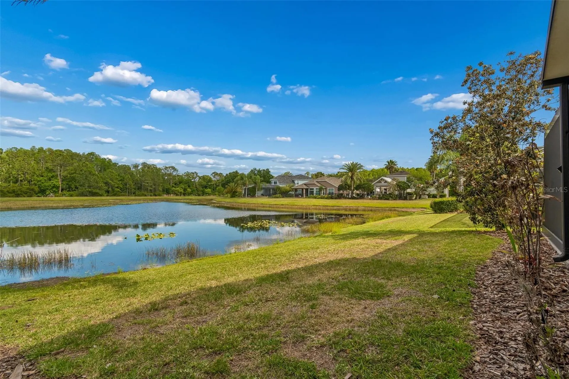 20133 Heron Crossing Drive Tampa FL 33647