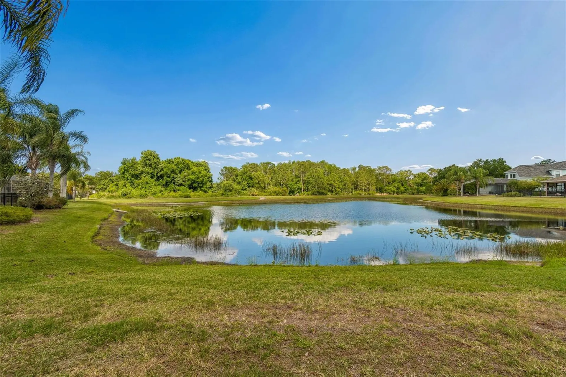 20133 Heron Crossing Drive Tampa FL 33647