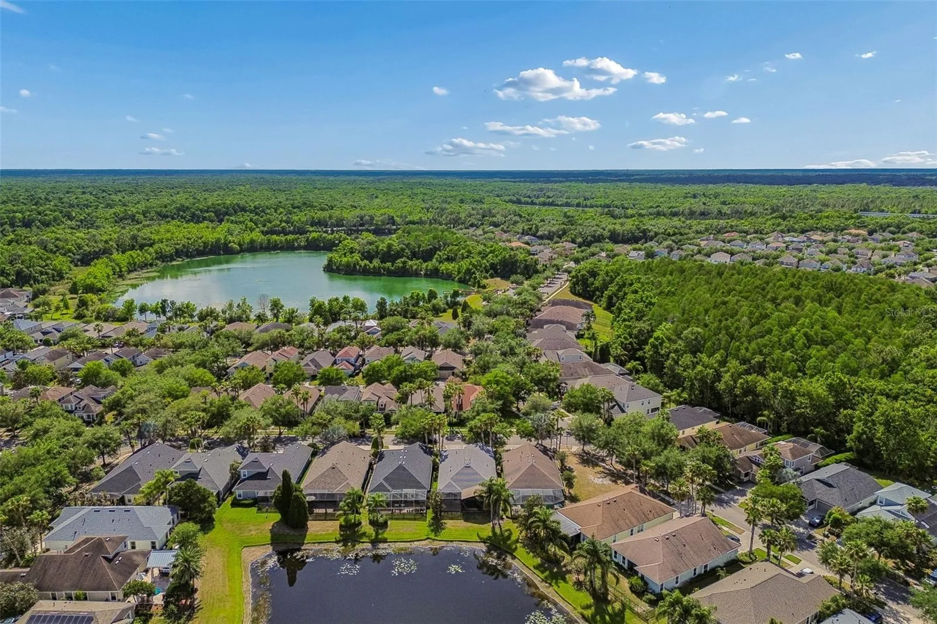 20133 Heron Crossing Drive Tampa FL 33647