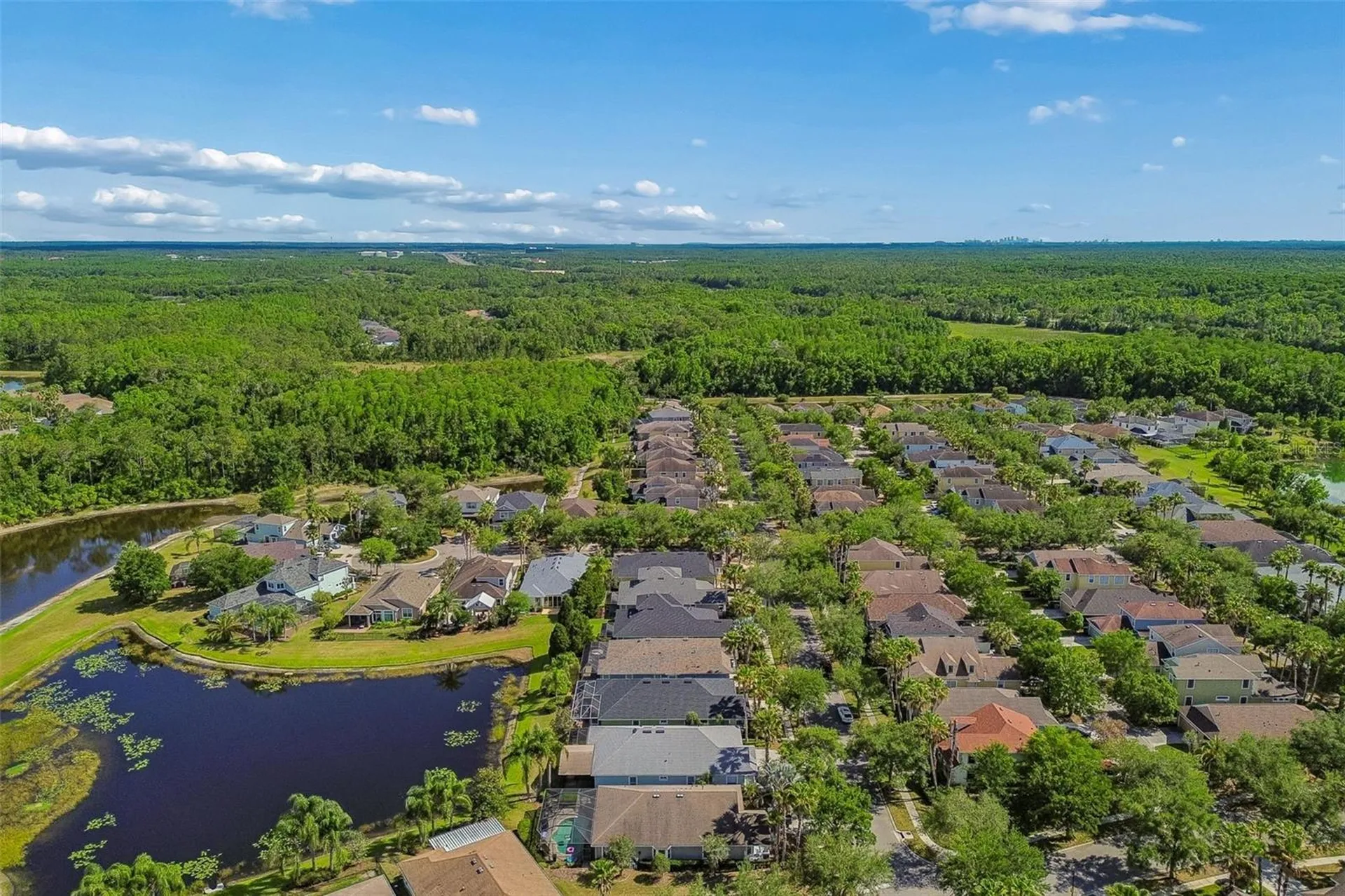 20133 Heron Crossing Drive Tampa FL 33647