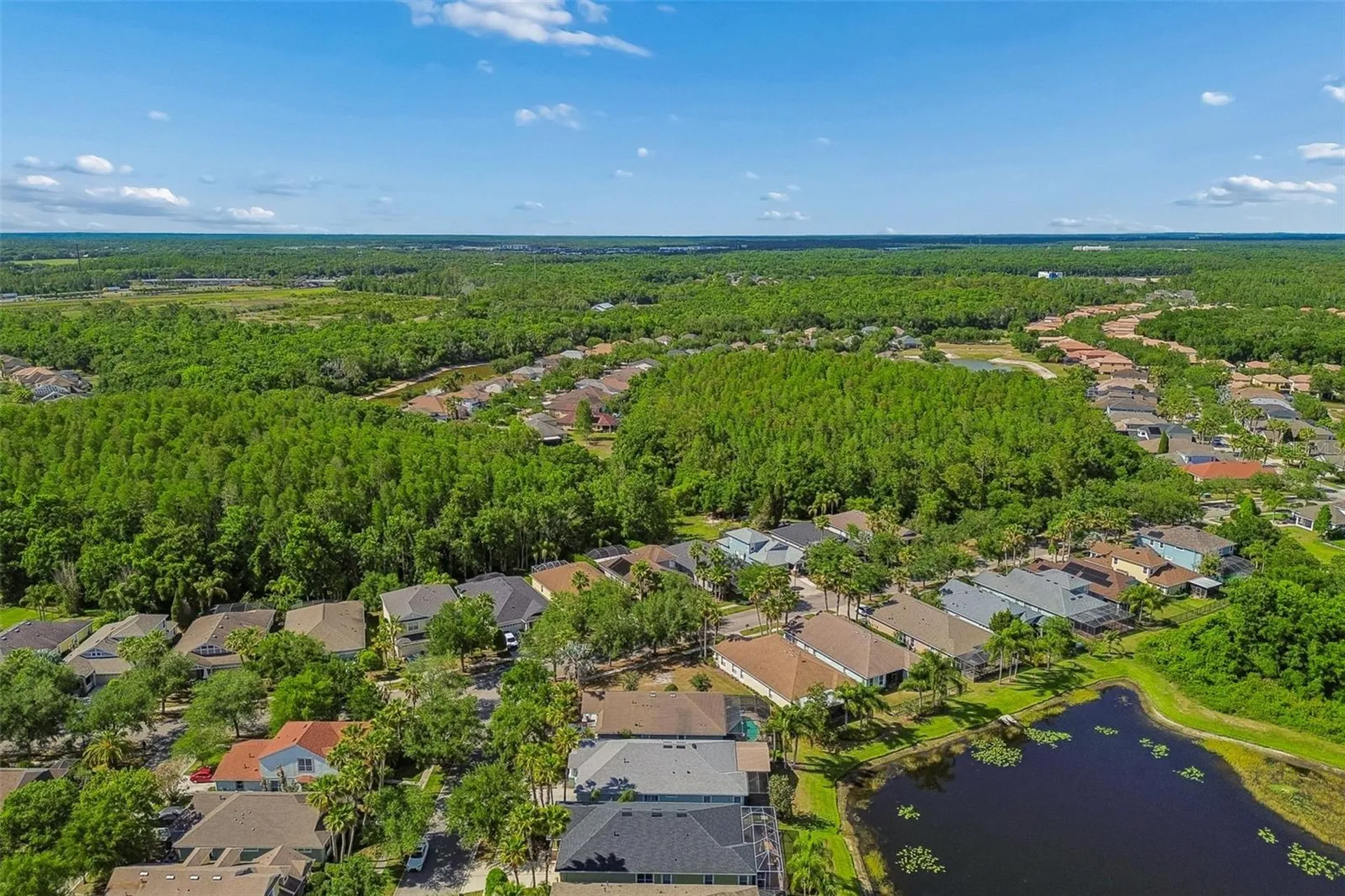 20133 Heron Crossing Drive Tampa FL 33647