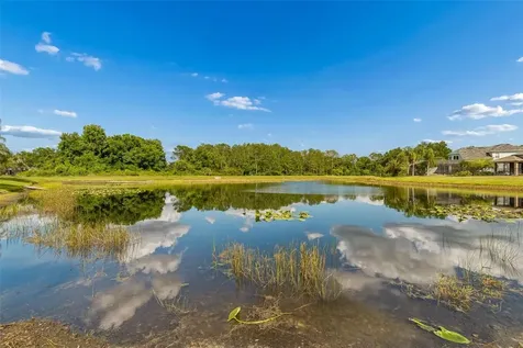 20133 Heron Crossing Drive Tampa FL 33647
