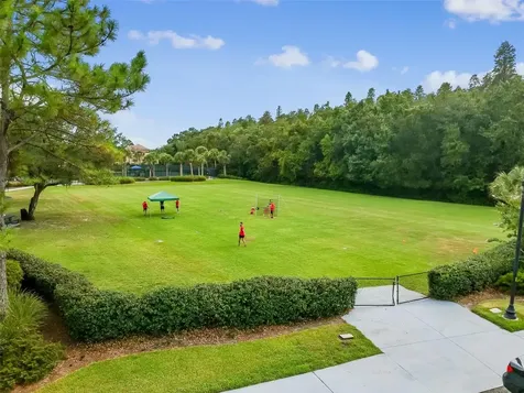 20133 Heron Crossing Drive Tampa FL 33647