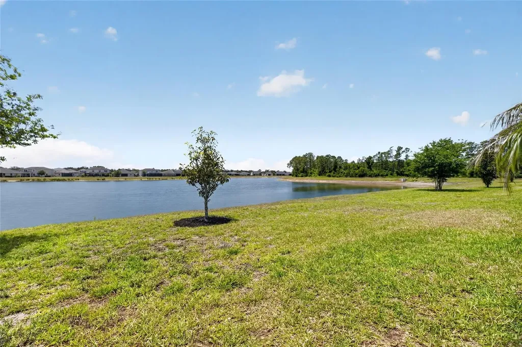 11633 Cambium Crown Drive Riverview FL 33569