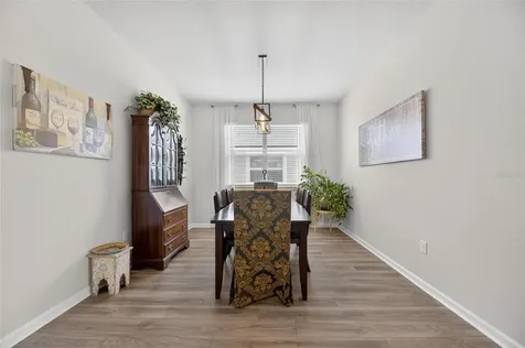 11633 Cambium Crown Drive Riverview FL 33569