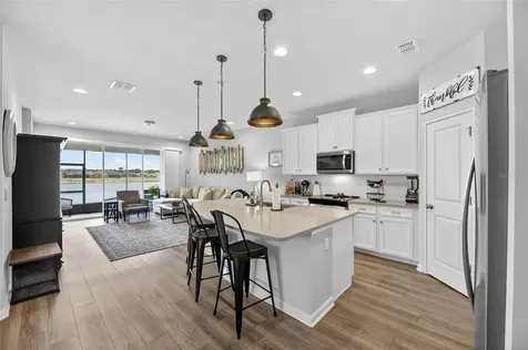 11633 Cambium Crown Drive Riverview FL 33569