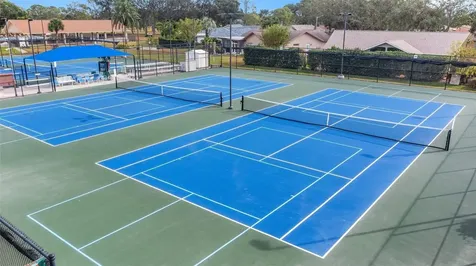 3462 Maclaren Drive Palm Harbor FL 34684