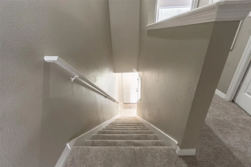 11676 Declaration Drive Tampa FL 33635