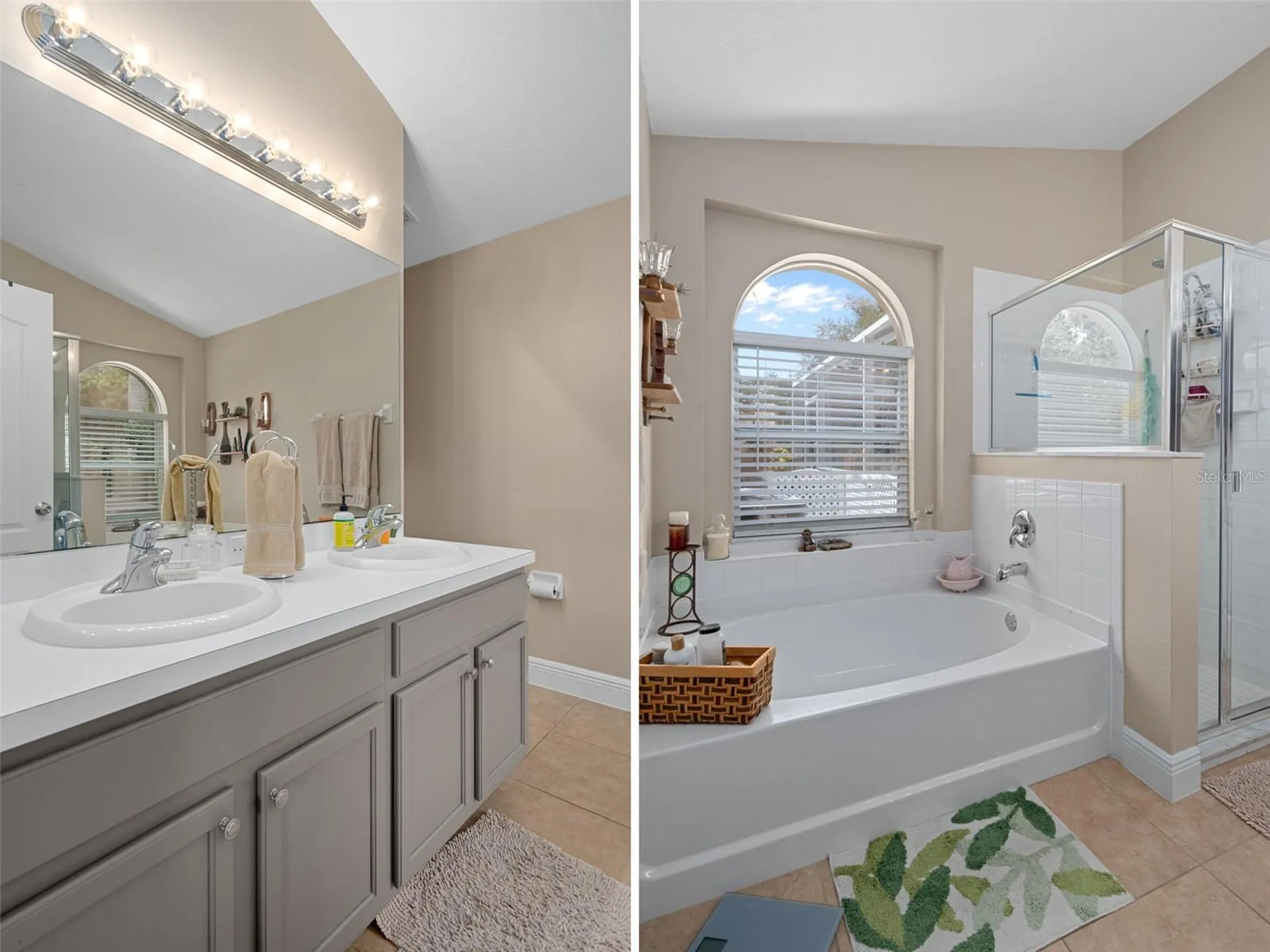 4107 Marchmont Boulevard Land O Lakes FL 34638