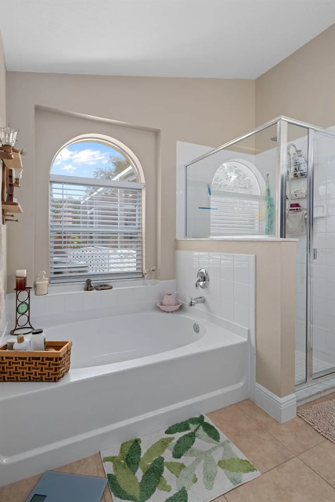 4107 Marchmont Boulevard Land O Lakes FL 34638