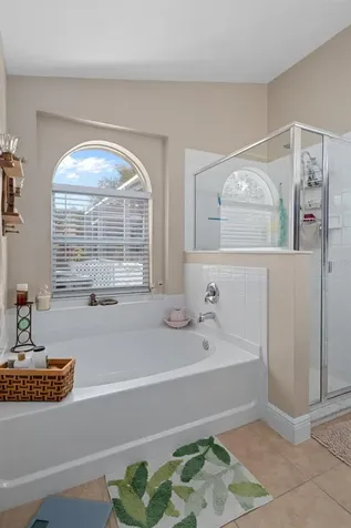 4107 Marchmont Boulevard Land O Lakes FL 34638