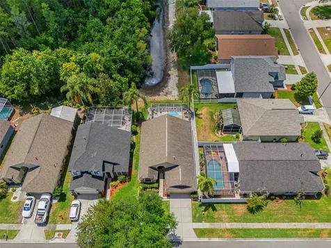 4107 Marchmont Boulevard Land O Lakes FL 34638