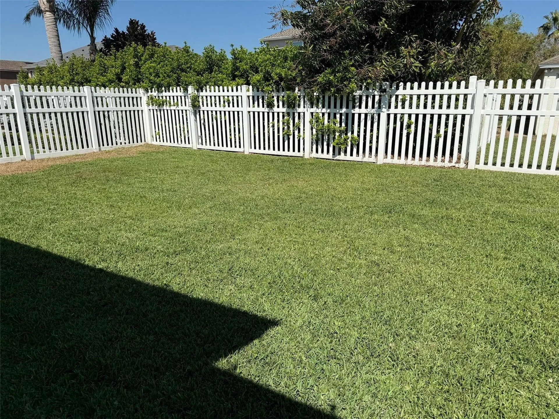 2227 Oakington Street Winter Garden FL 34787