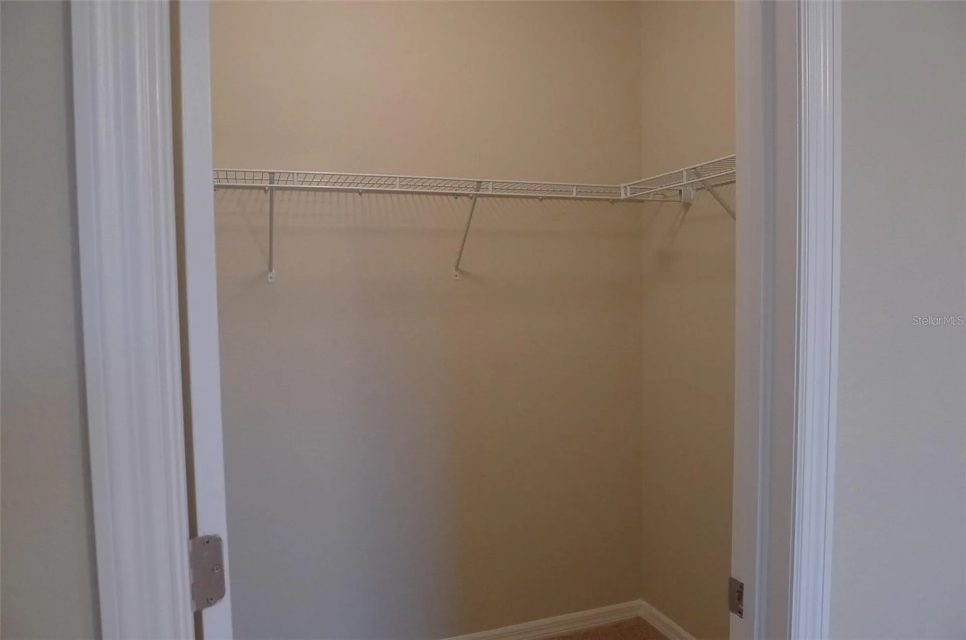 13909 River Willow Place Tampa FL 33637