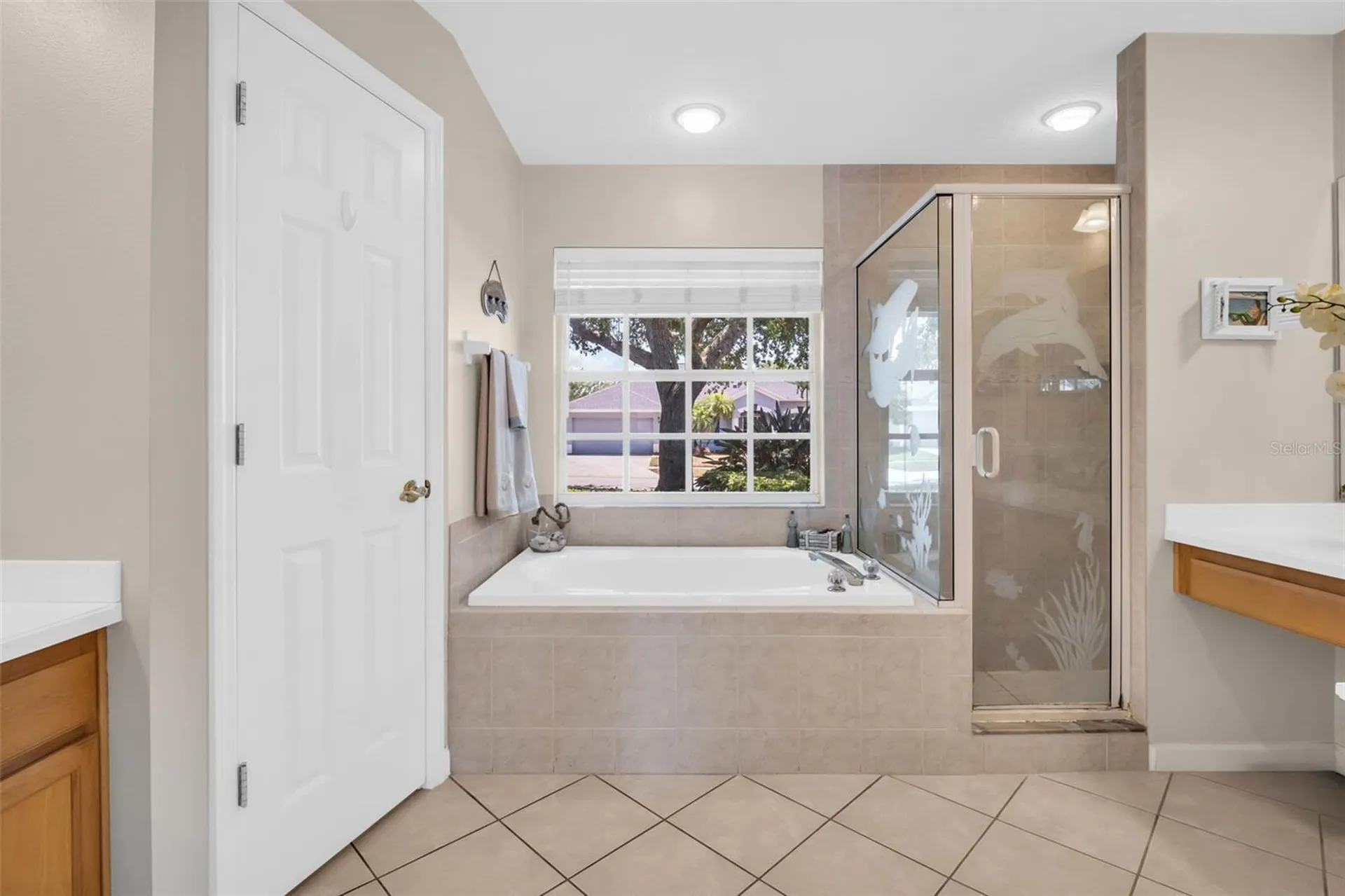 1149 Sawgrass Drive Tarpon Springs FL 34689