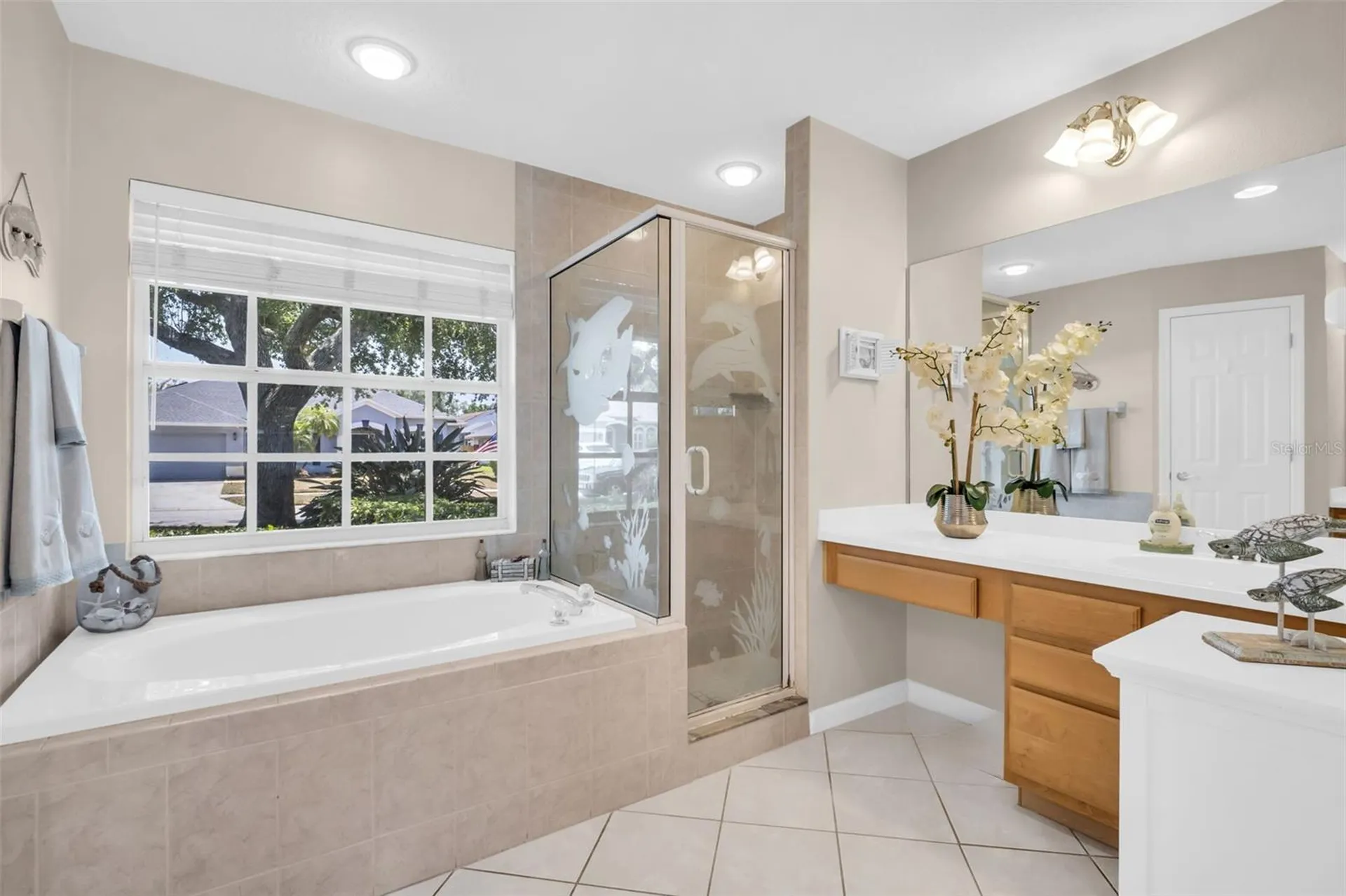 1149 Sawgrass Drive Tarpon Springs FL 34689