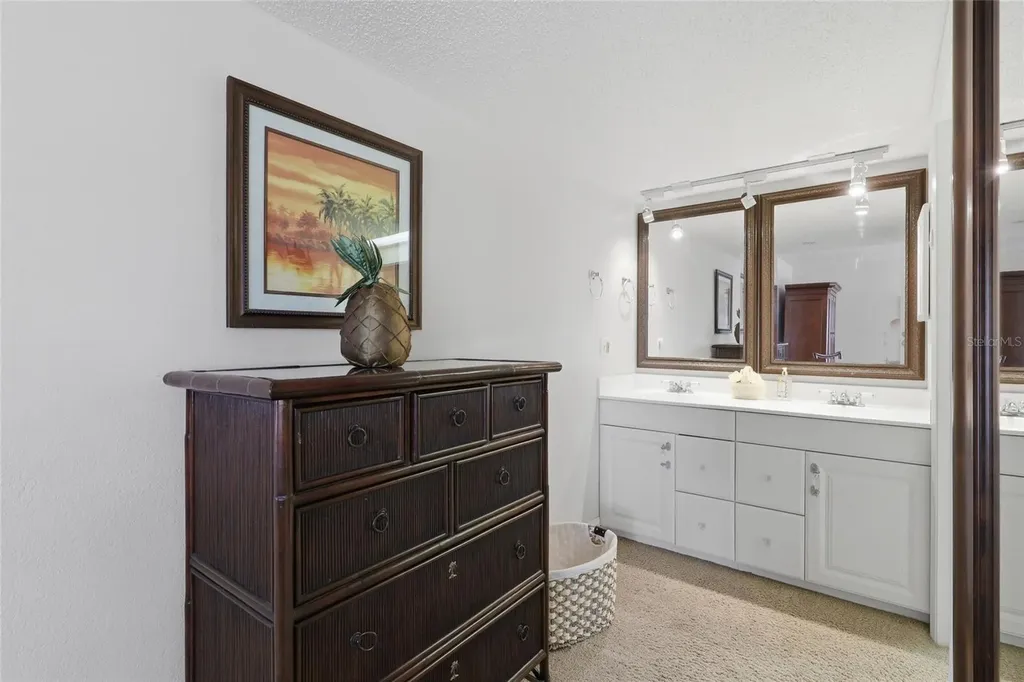 29130 Bay Hollow Drive Wesley Chapel FL 33543