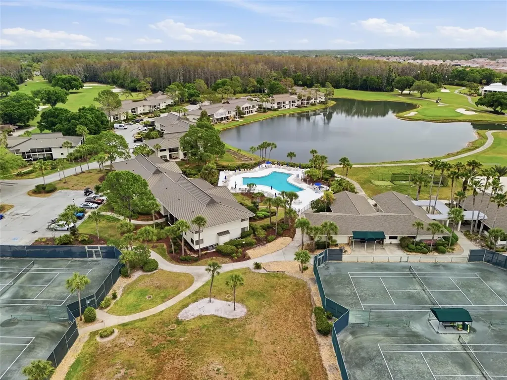 29130 Bay Hollow Drive Wesley Chapel FL 33543