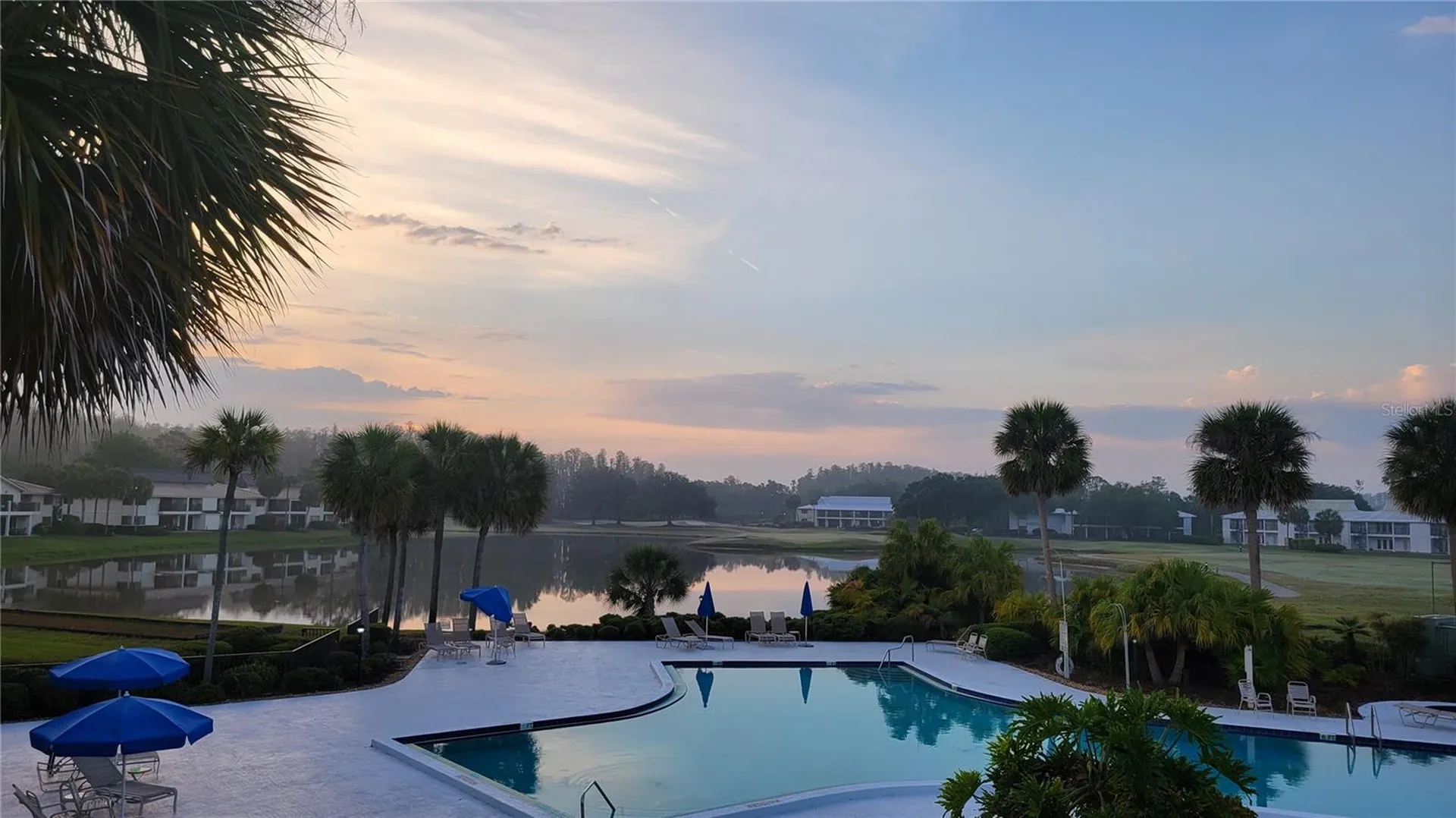 29130 Bay Hollow Drive Wesley Chapel FL 33543