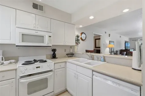 29130 Bay Hollow Drive Wesley Chapel FL 33543