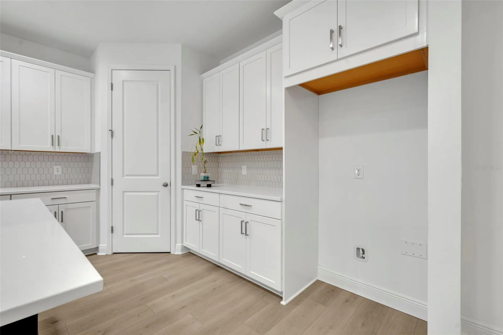 19268 Allium Place Orlando FL 32827