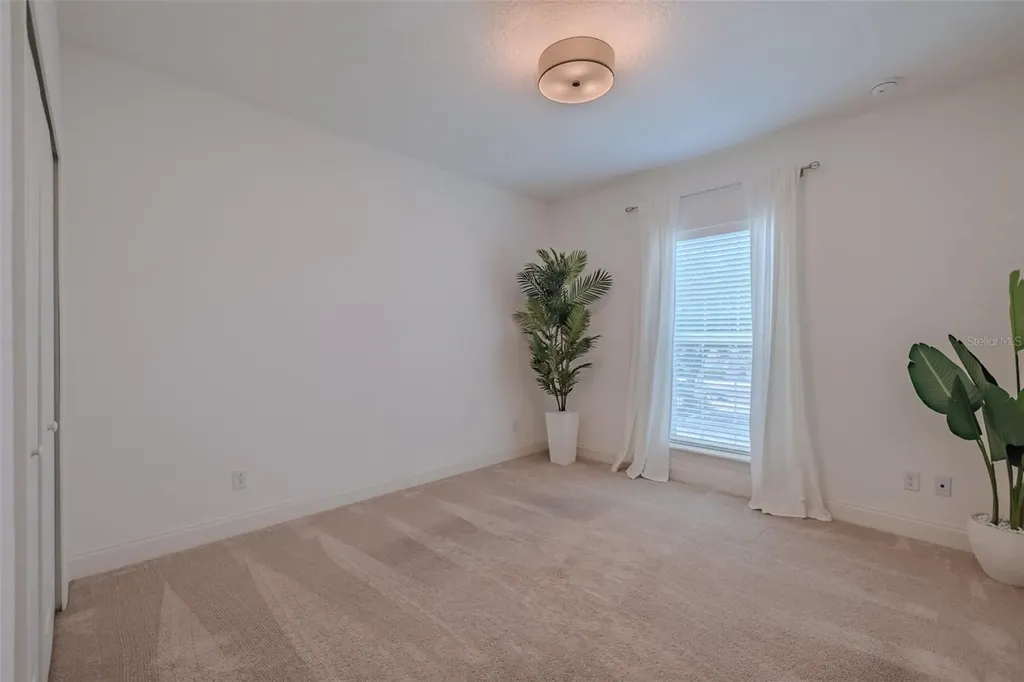 3224 W Empedrado Street Tampa FL 33629