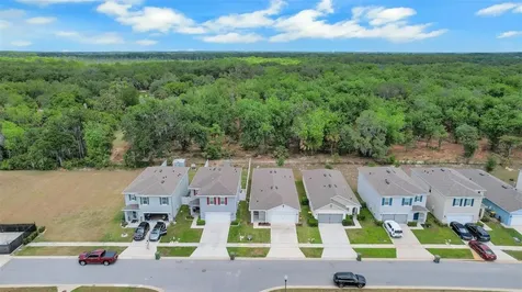 30112 Armenia Road Leesburg FL 34748