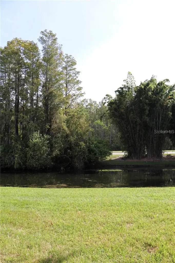 13548 Turtle Marsh Loop Orlando FL 32837