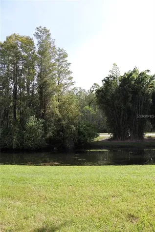 13548 Turtle Marsh Loop Orlando FL 32837