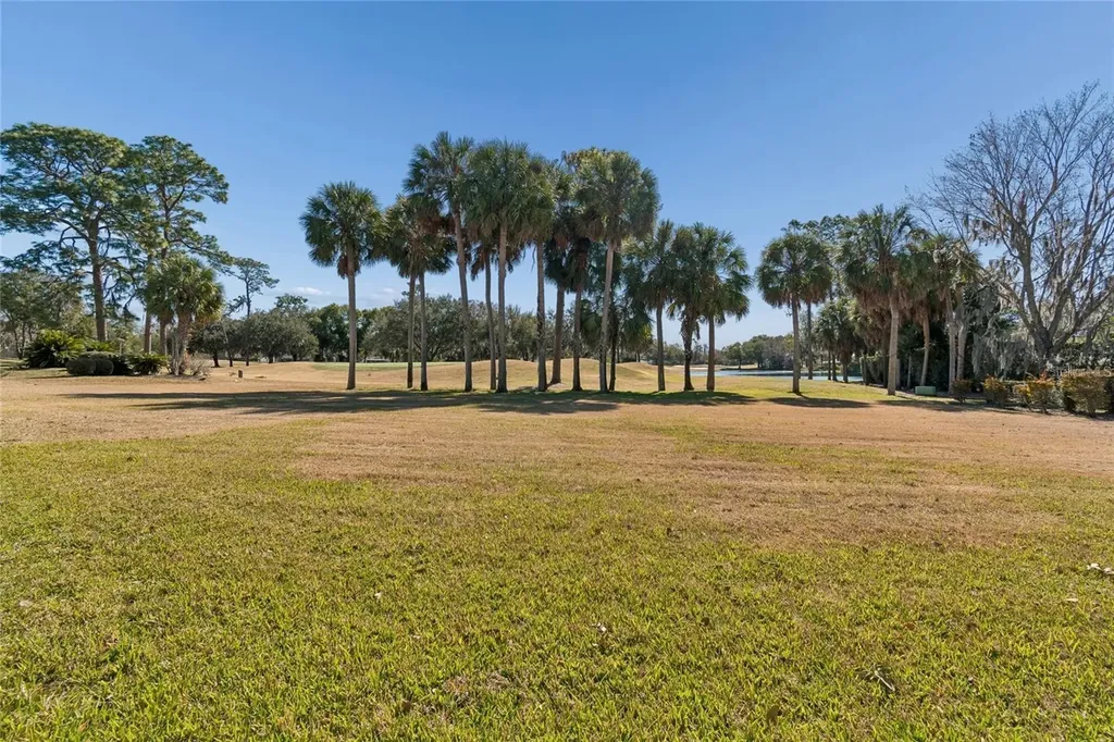 29244 Whipporwill Lane Wesley Chapel FL 33543