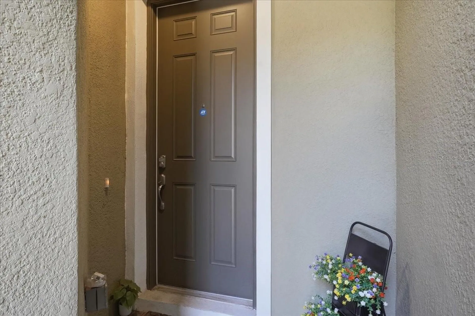34179 Cinder Way Wesley Chapel FL 33545