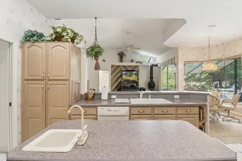 3 Portulaca Court N Homosassa FL 34446