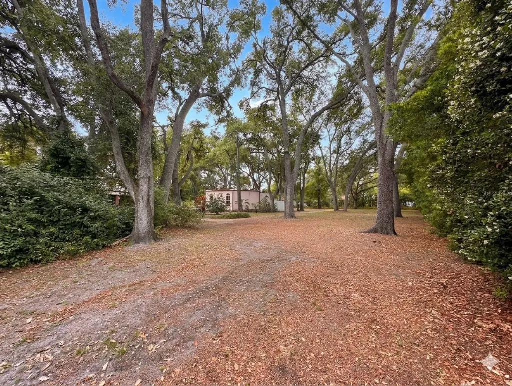 2124 Laurence Drive Clearwater FL 33764