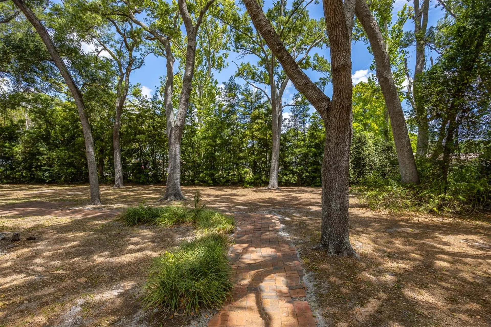 2124 Laurence Drive Clearwater FL 33764