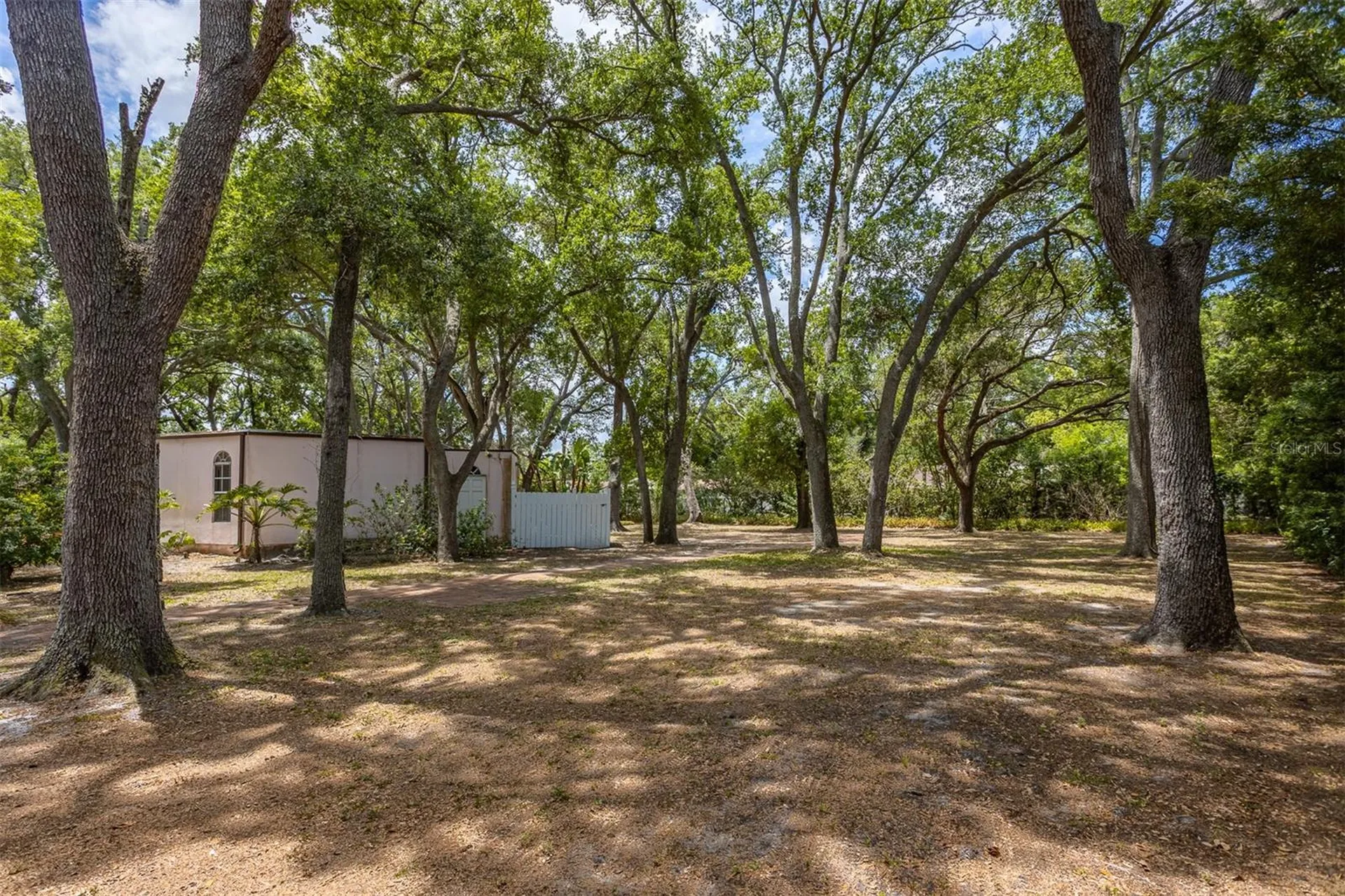 2124 Laurence Drive Clearwater FL 33764