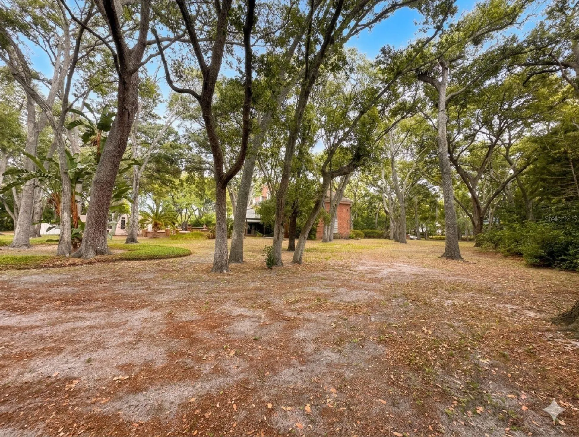 2124 Laurence Drive Clearwater FL 33764