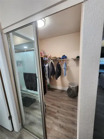 3402 Ellenwood Lane Tampa FL 33618
