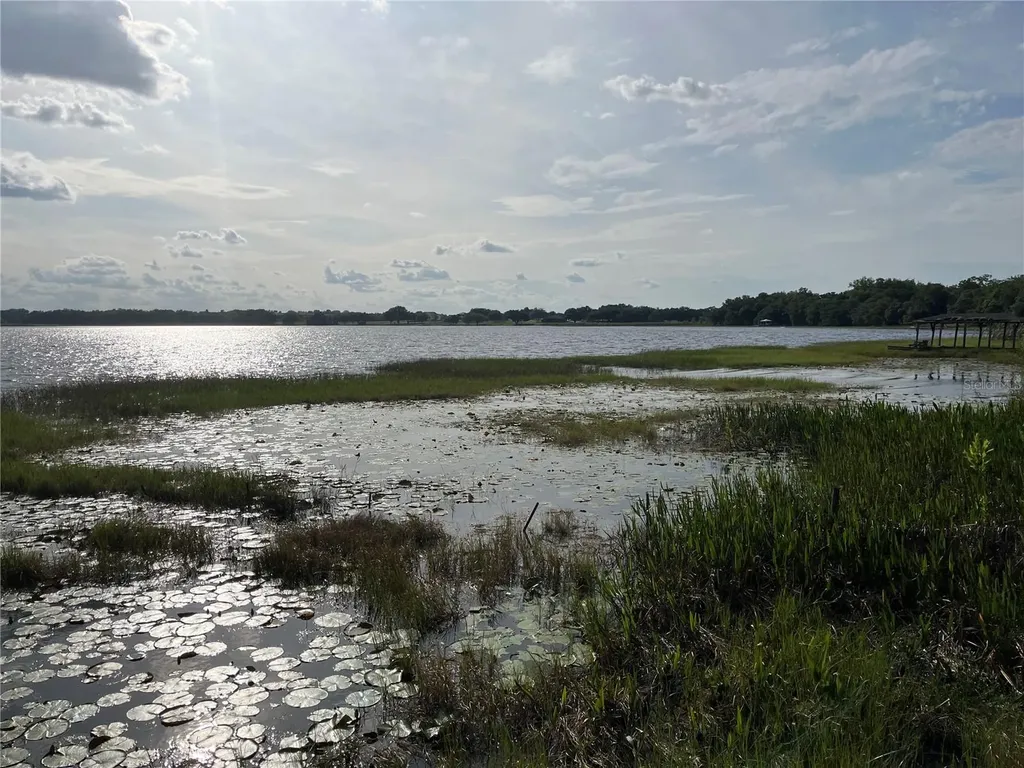 1794 Perch Hammock Loop Groveland FL 34736