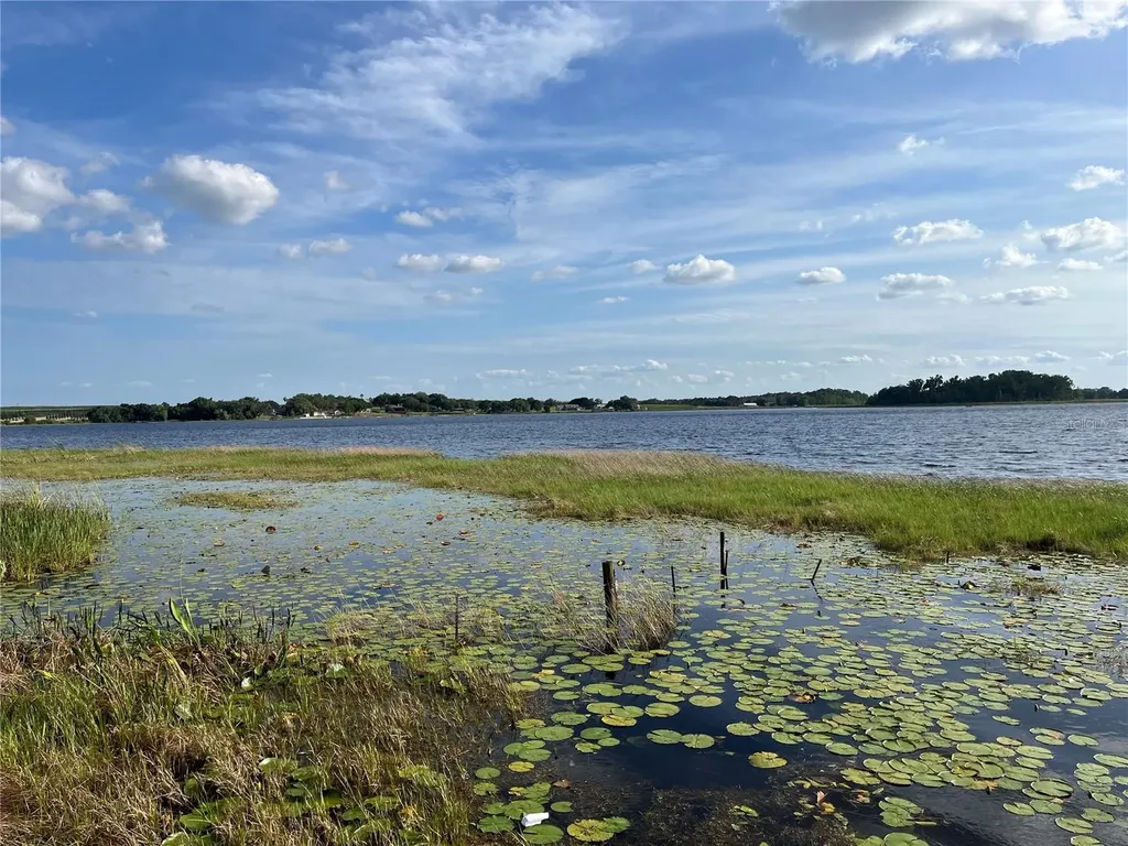 1794 Perch Hammock Loop Groveland FL 34736