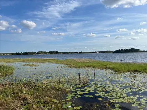 1794 Perch Hammock Loop Groveland FL 34736