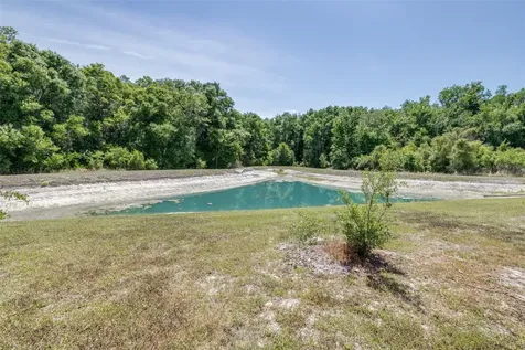 32960 Kaloko Road Wesley Chapel FL 33543