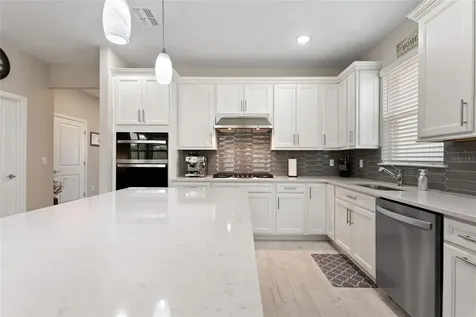 1333 Zesty Citrus Lane Minneola FL 34715