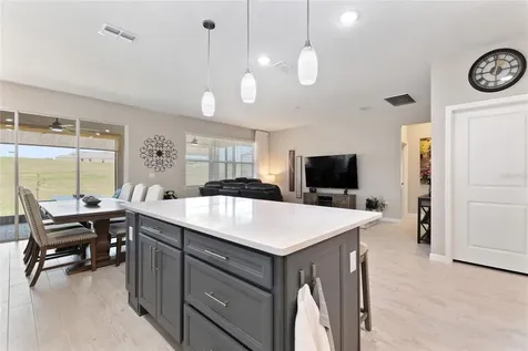1333 Zesty Citrus Lane Minneola FL 34715