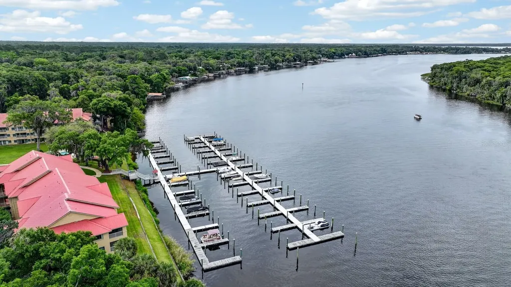 99 Broad River Place Welaka FL 32193