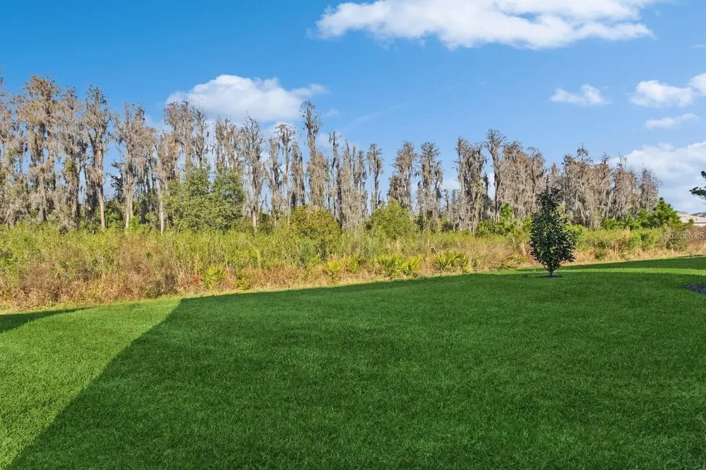 3281 Great Banyan Way Wesley Chapel FL 33543