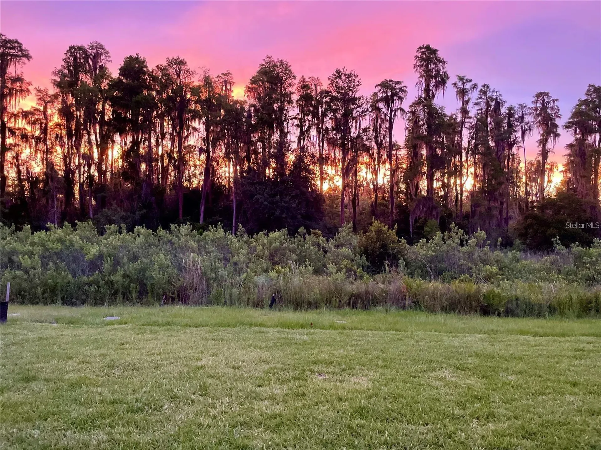 3281 Great Banyan Way Wesley Chapel FL 33543