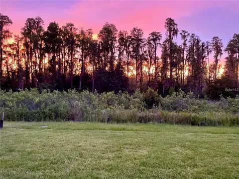 3281 Great Banyan Way Wesley Chapel FL 33543