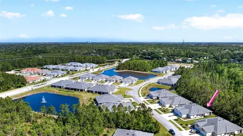 66 Wrendale Loop Ormond Beach FL 32174